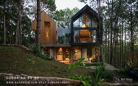 Mo Stay - Forest Resort